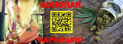 крисы Новокубанск