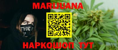 крисы Новокубанск