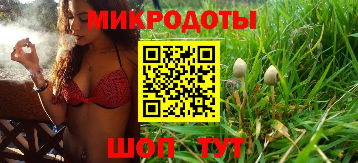Псилоцибиновые грибы мухоморы Шуя